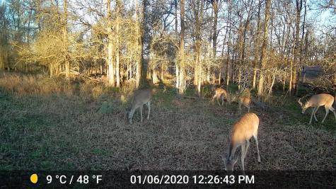 3000 Pettytown Road Dale TX 78616