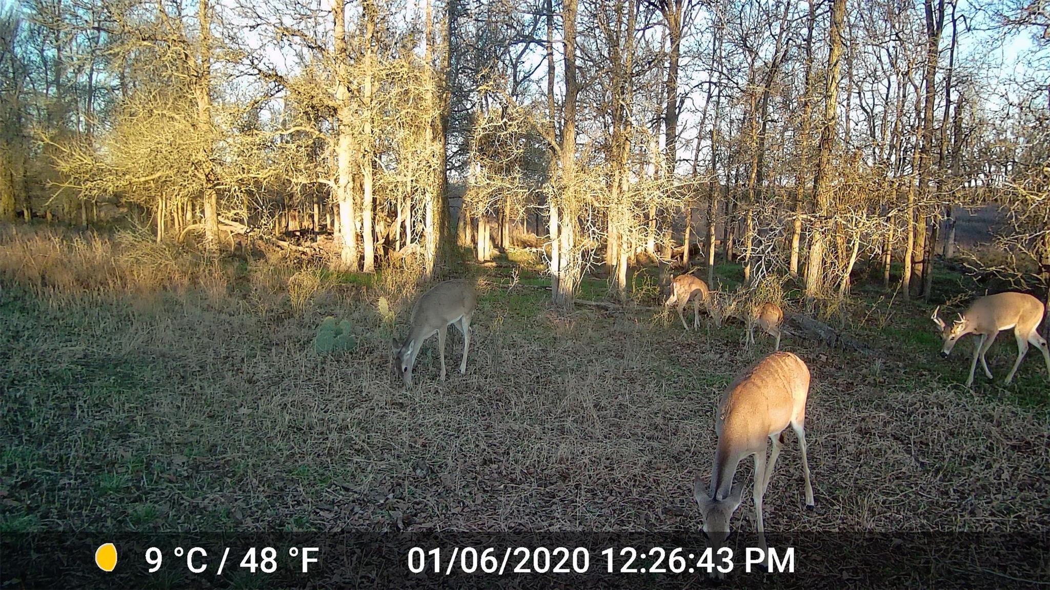 3000 Pettytown Road Dale TX 78616