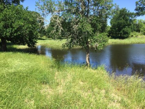 3000 Pettytown Road Dale TX 78616
