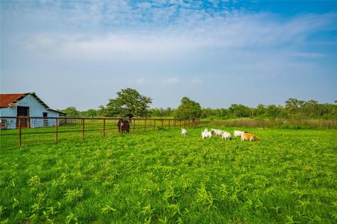 0 County Road 396 Gonzales TX 78629