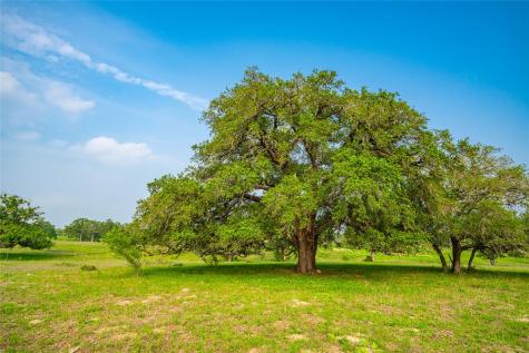 0 County Road 396 Gonzales TX 78629