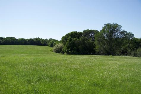 Tbd Street Delight (Tract 4) Road Paige TX 78659