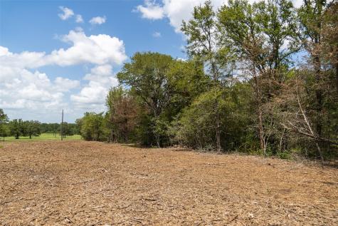 Tbd Street Delight (Tract 4) Road Paige TX 78659