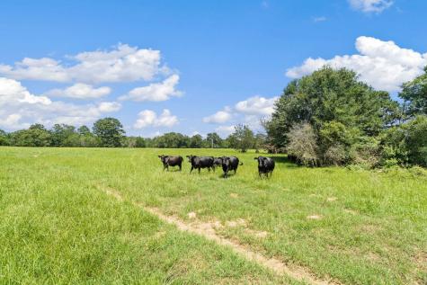Tbd Street Delight (Tract 4) Road Paige TX 78659