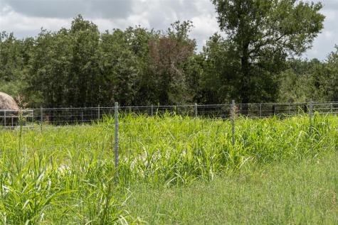 Tbd Street Delight (Tract 4) Road Paige TX 78659