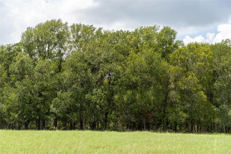 Tbd Street Delight (Tract 4) Road Paige TX 78659