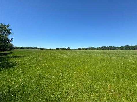 Tbd Street Delight (Tract 4) Road Paige TX 78659