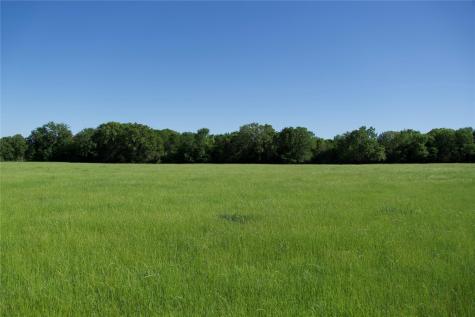Tbd Street Delight (Tract 4) Road Paige TX 78659
