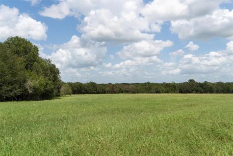 Tbd Street Delight (Tract 4) Road Paige TX 78659