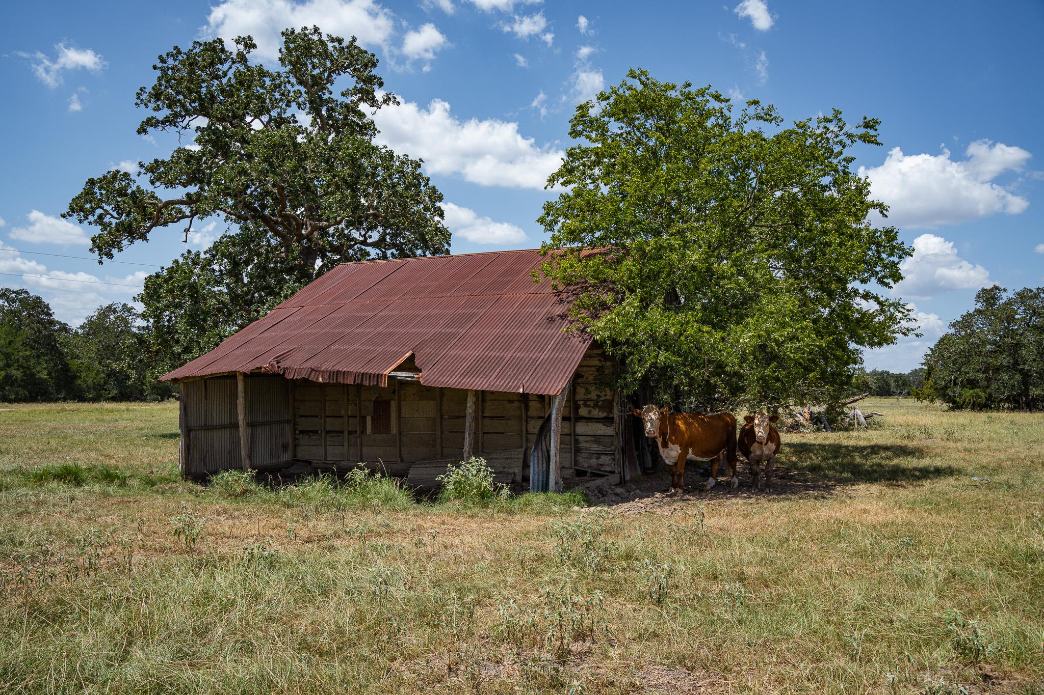 2210 Hermis Road Schulenburg TX 78956