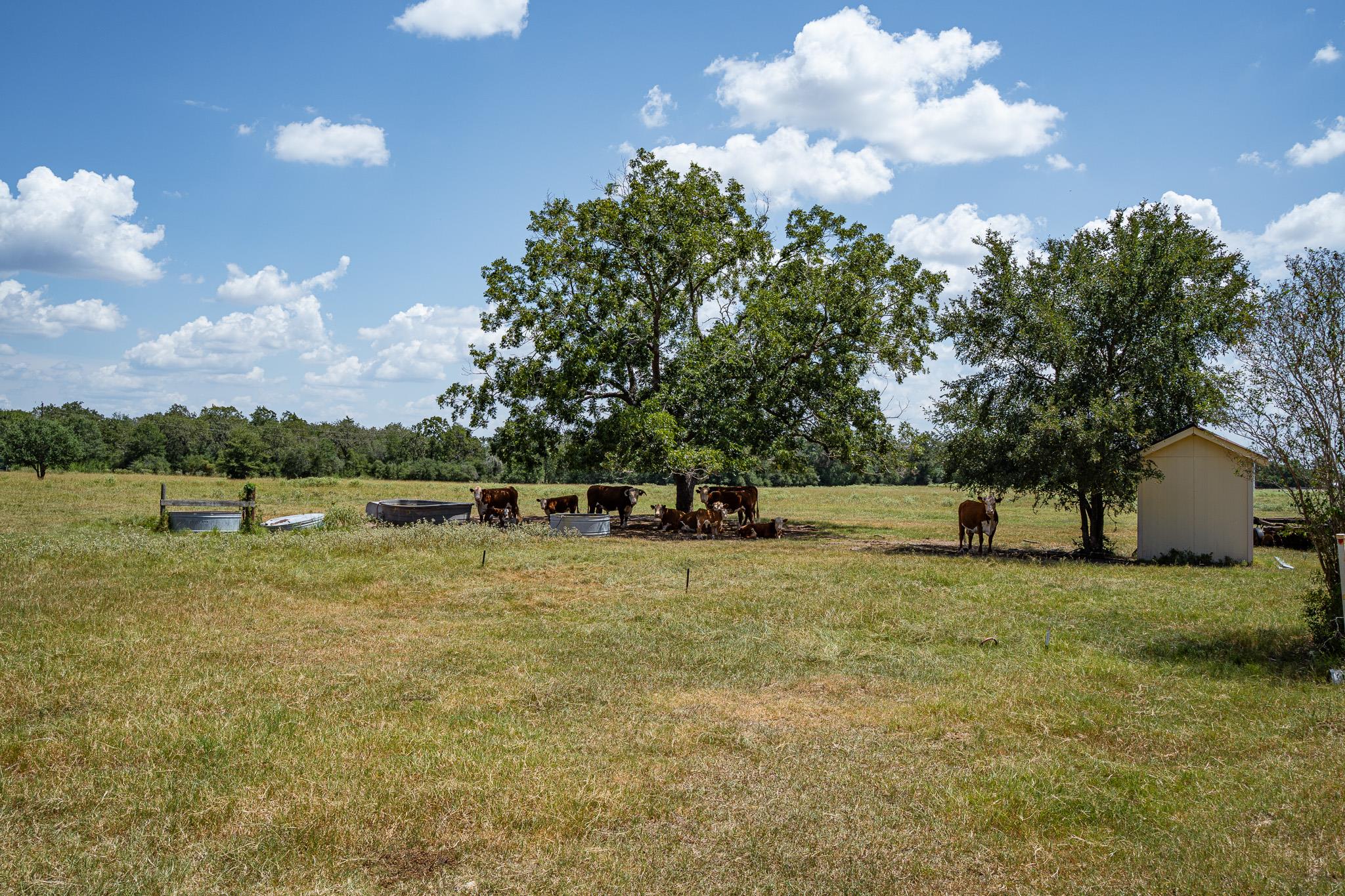 2210 Hermis Road Schulenburg TX 78956