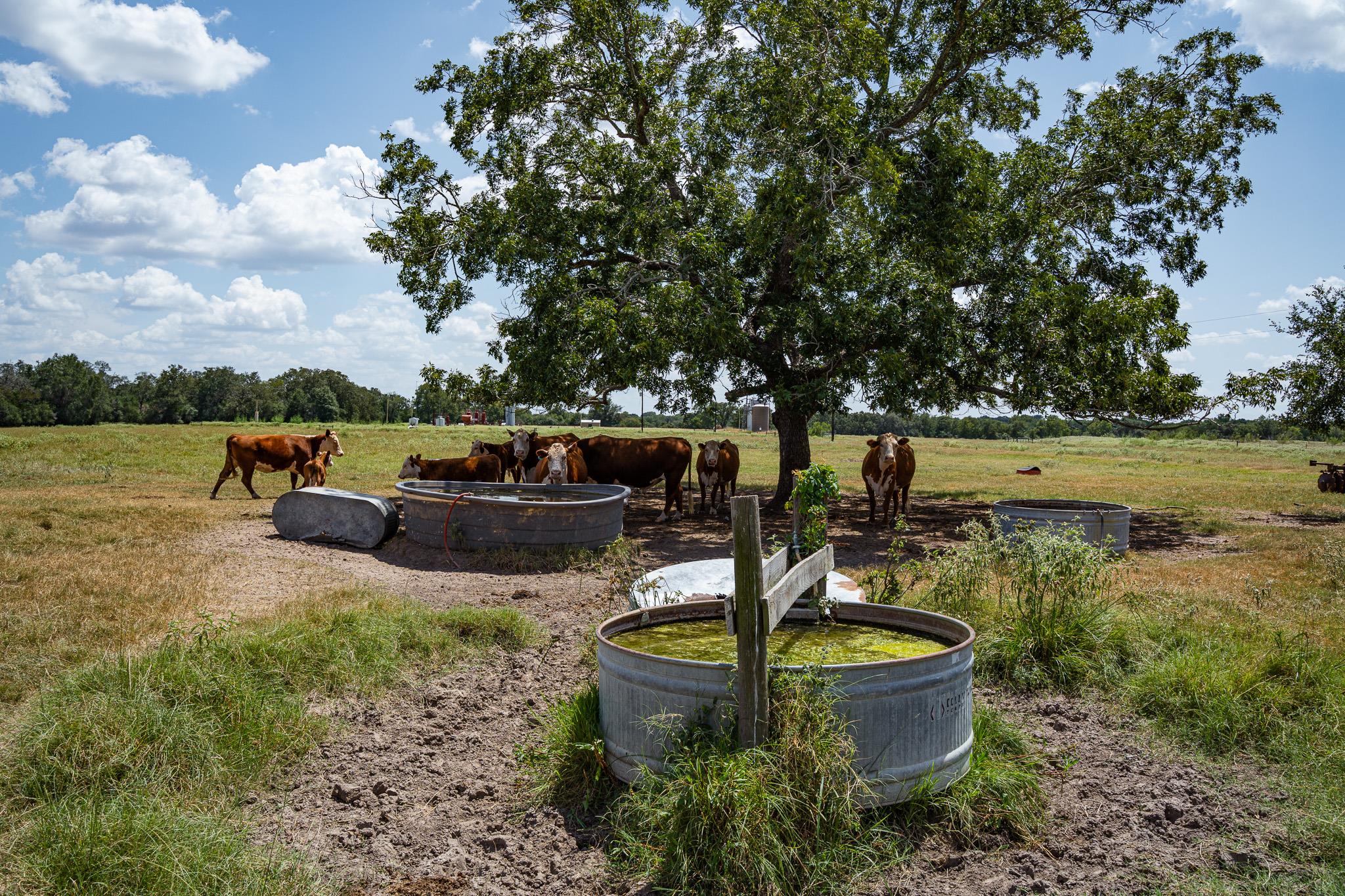 2210 Hermis Road Schulenburg TX 78956