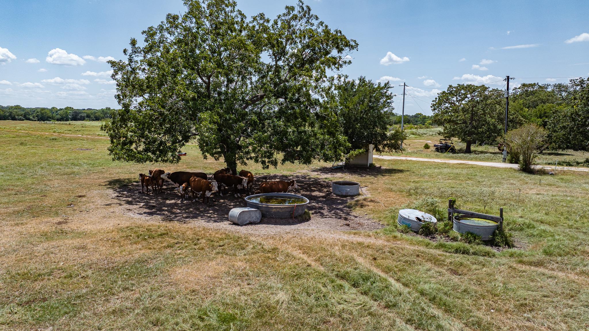 2210 Hermis Road Schulenburg TX 78956