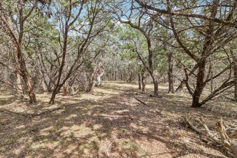 1500 Rebecca Creek Road Canyon Lake TX 78133