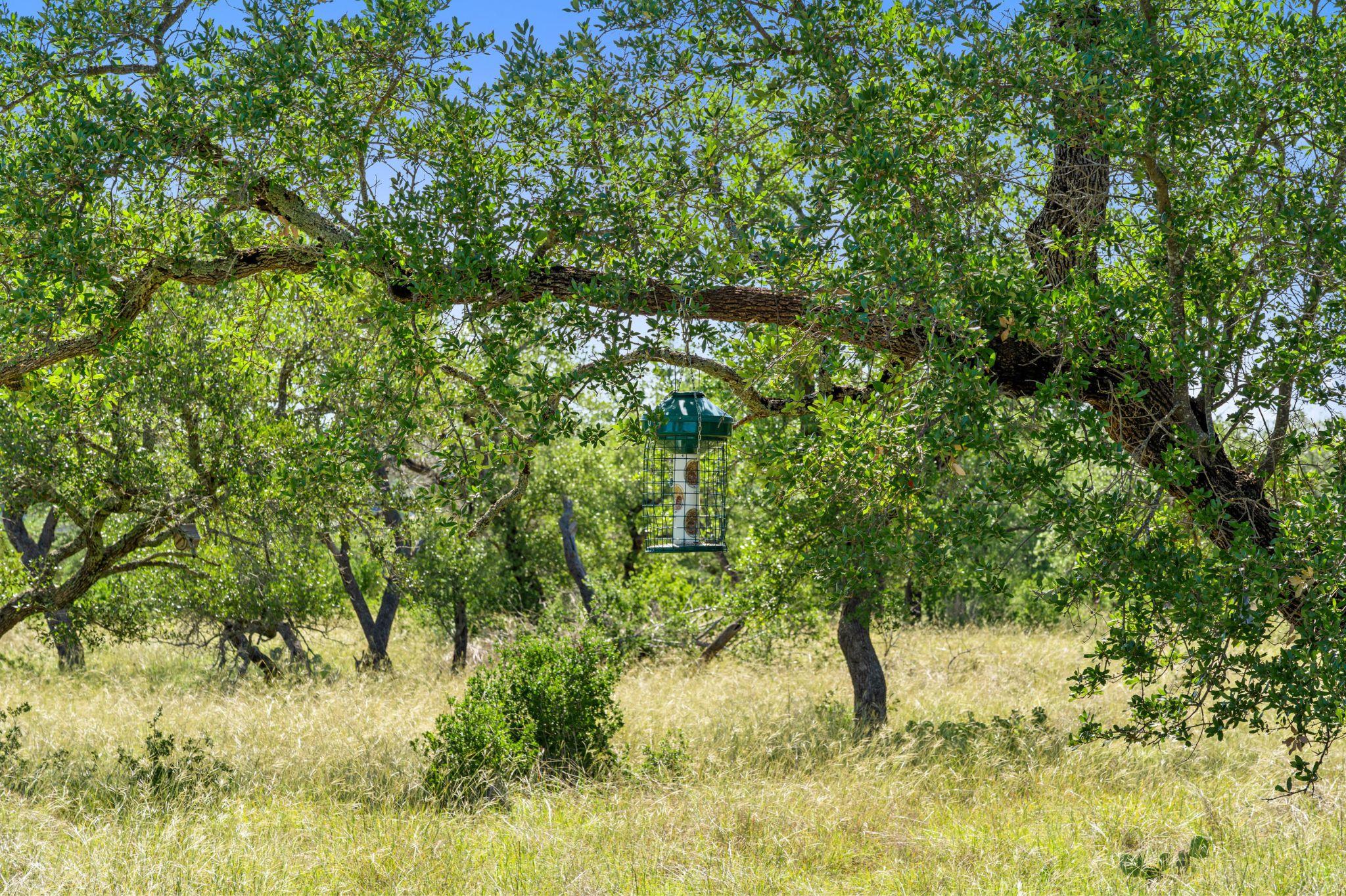 620 Rio Vista Road Johnson City TX 78636