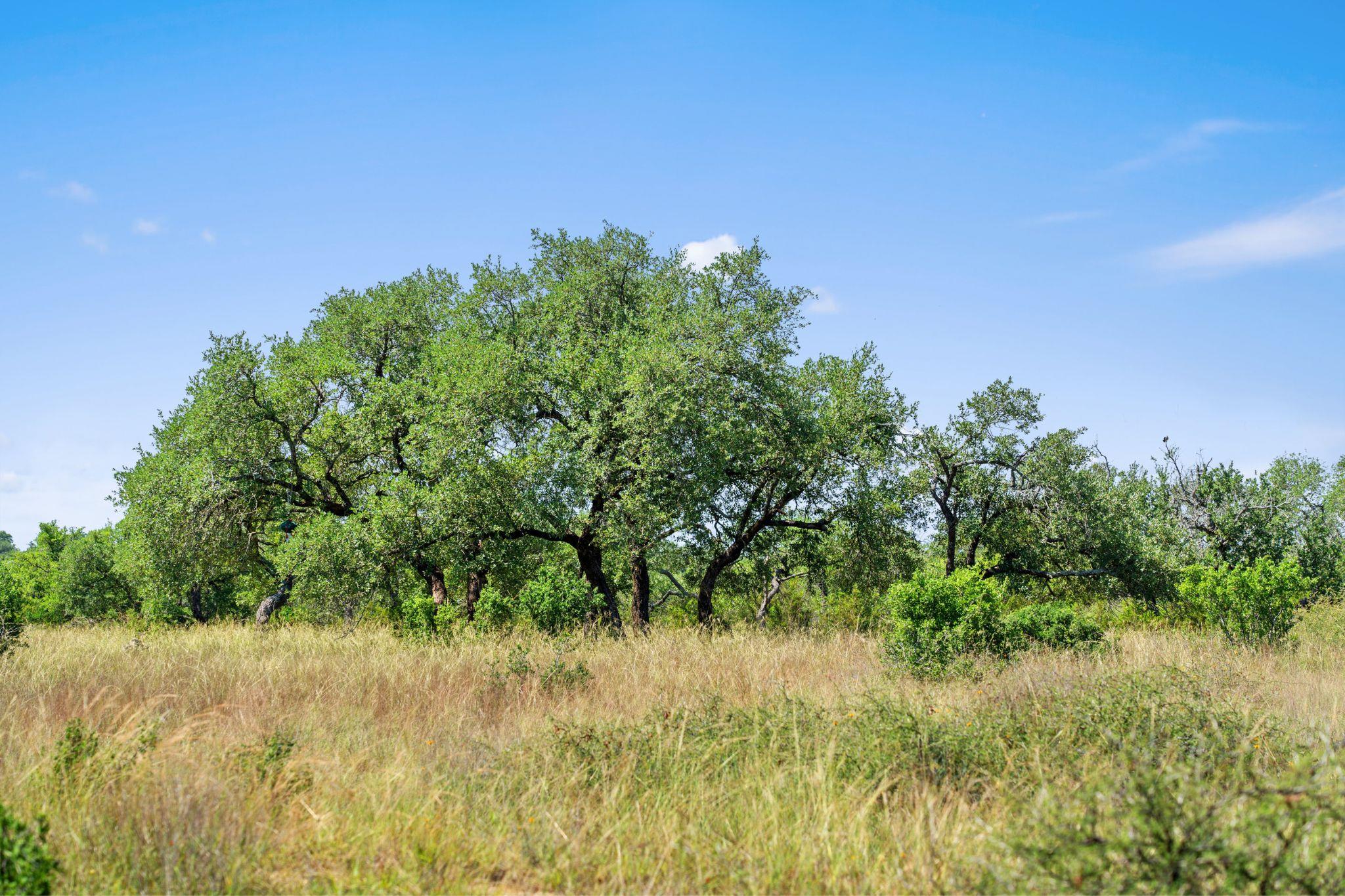 620 Rio Vista Road Johnson City TX 78636
