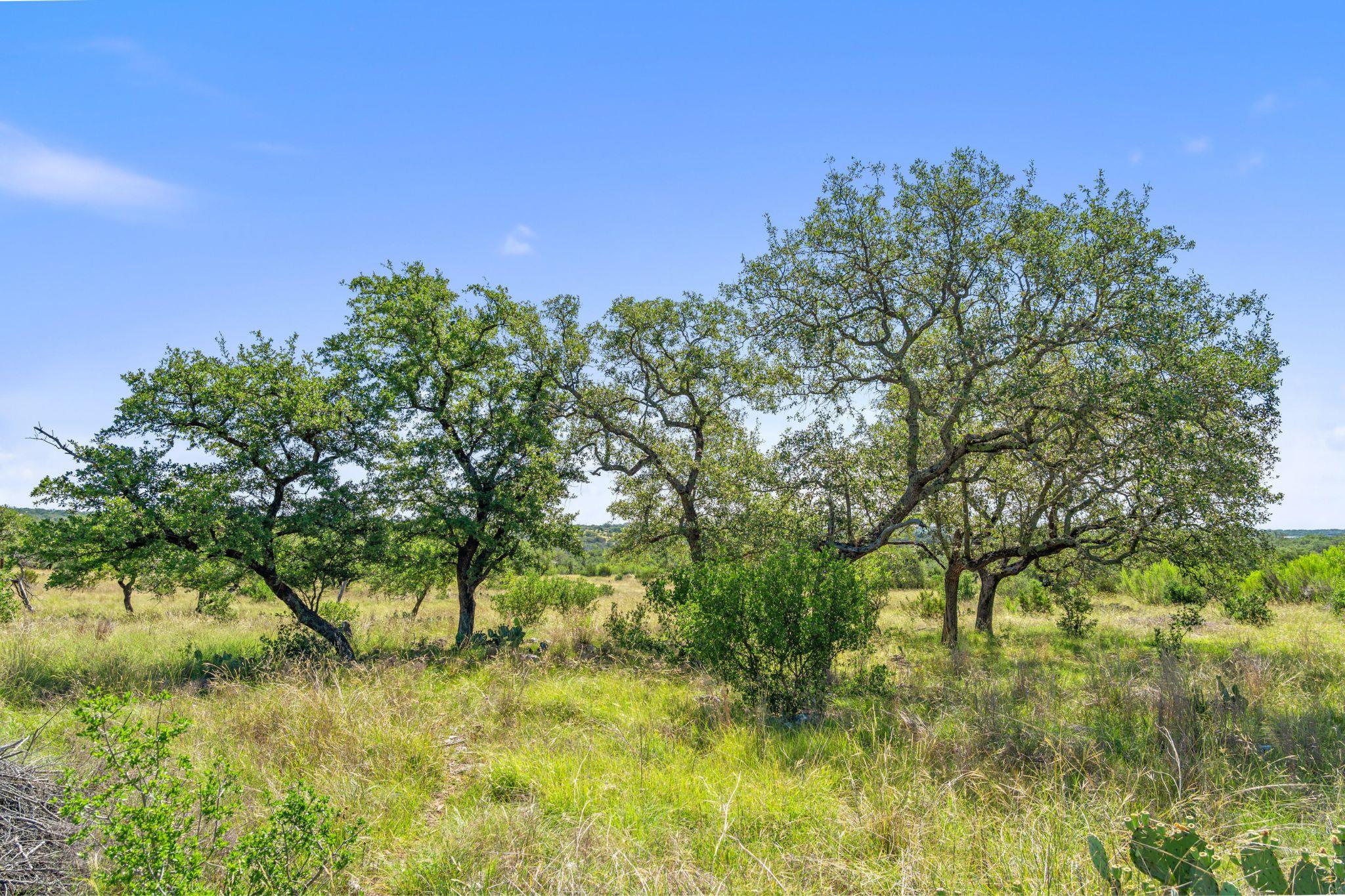 620 Rio Vista Road Johnson City TX 78636