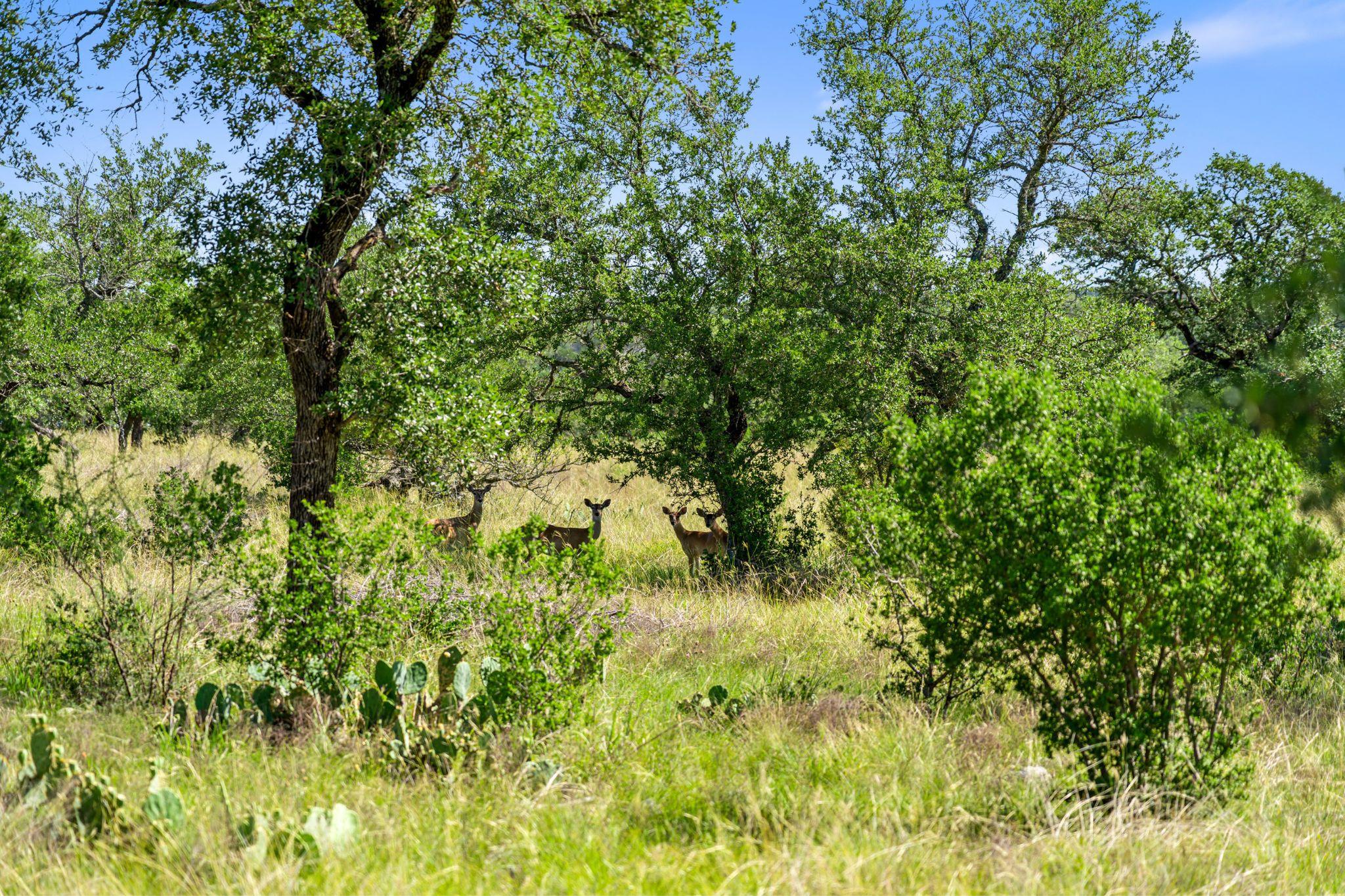 620 Rio Vista Road Johnson City TX 78636
