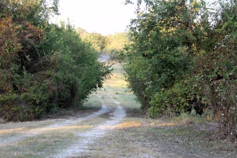 11445 Fm 1854 Dale TX 78616