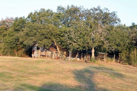 11445 Fm 1854 Dale TX 78616