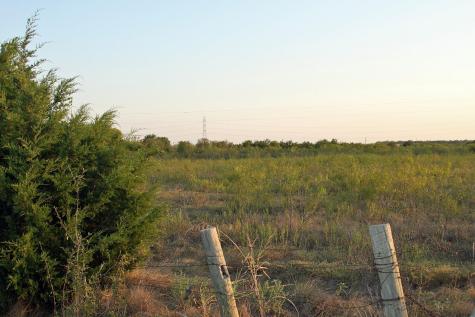 11445 Fm 1854 Dale TX 78616