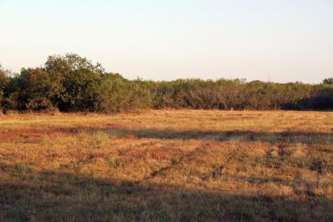 11445 Fm 1854 Dale TX 78616
