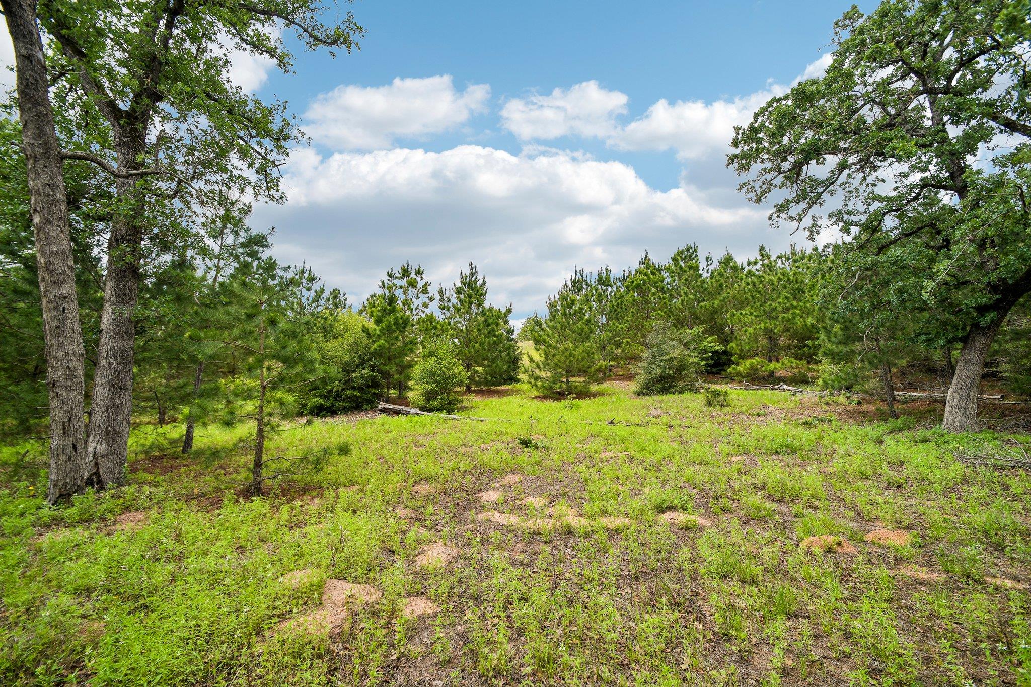 1213 Park Road 1c Smithville TX 78957