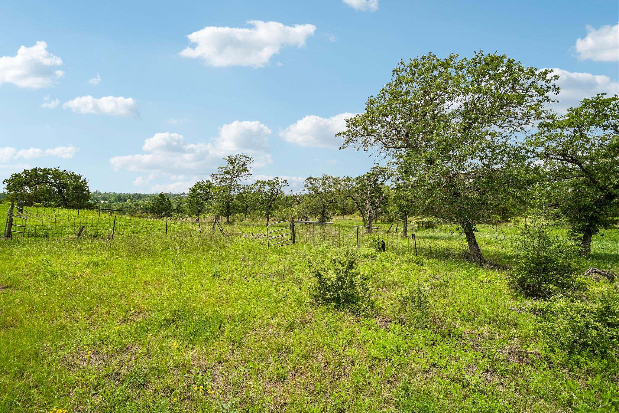 1213 Park Road 1c Smithville TX 78957