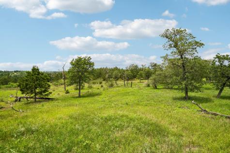 1213 Park Road 1c Smithville TX 78957