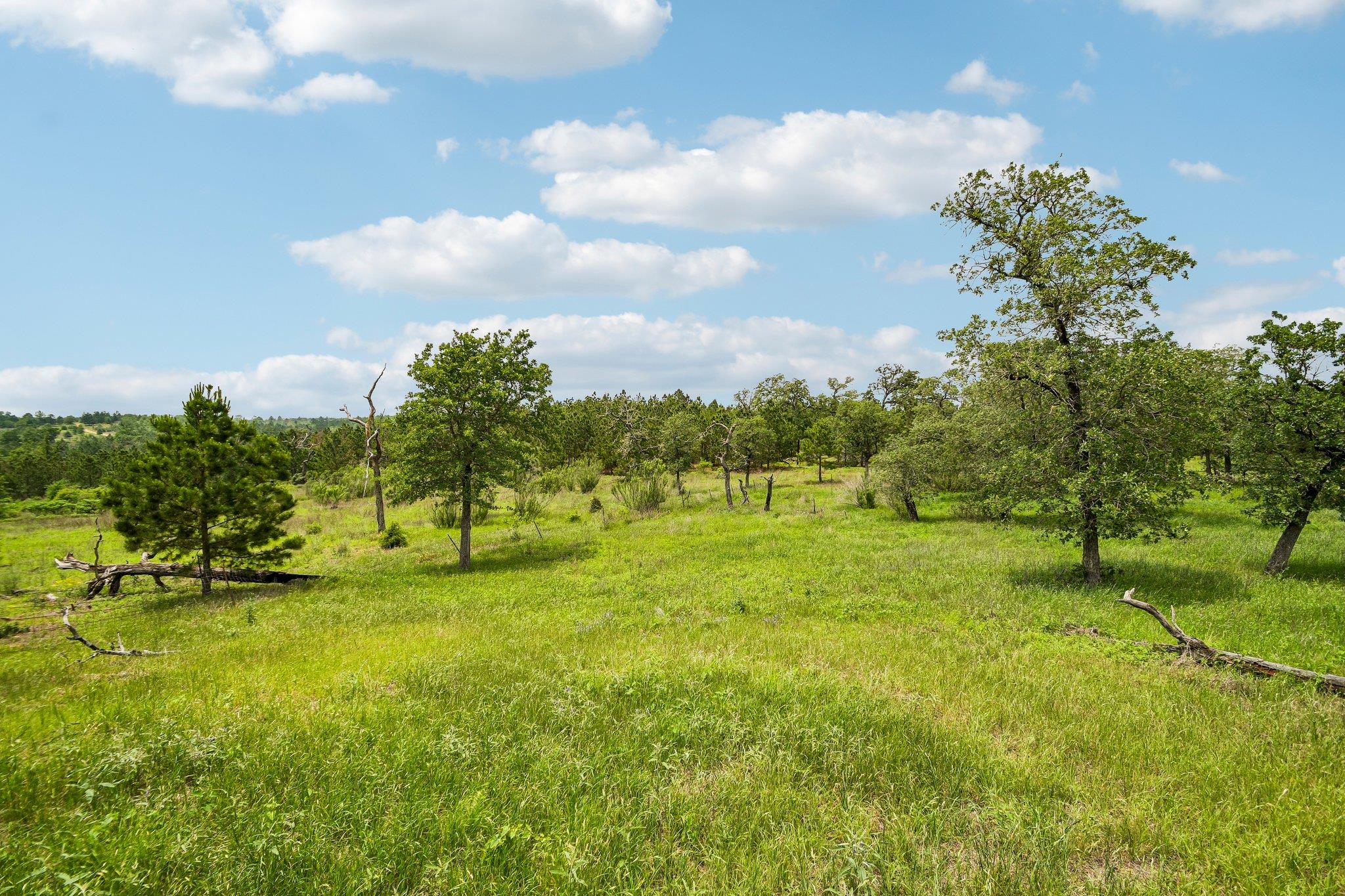 1213 Park Road 1c Smithville TX 78957