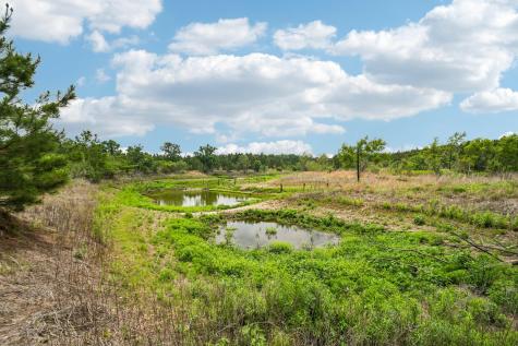 1213 Park Road 1c Smithville TX 78957