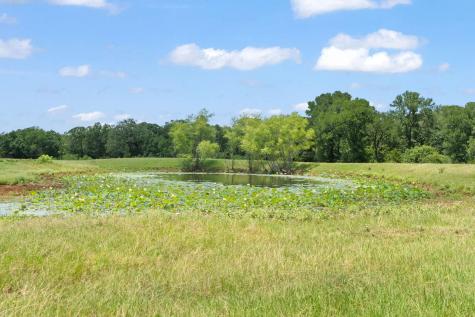 1010 Saint Delight Road Paige TX 78659