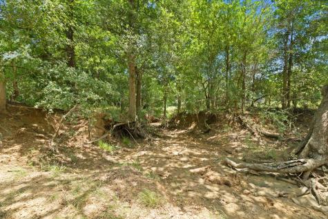 1010 Saint Delight Road Paige TX 78659