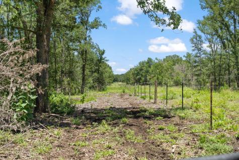 1010 Saint Delight Road Paige TX 78659