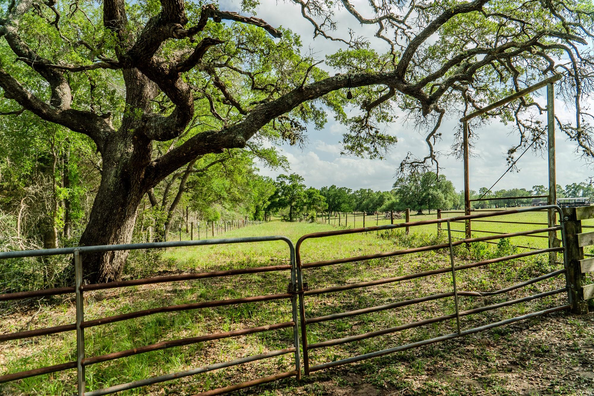 2745 Holub Road Schulenburg TX 78956