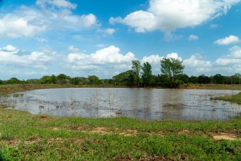 2745 Holub Road Schulenburg TX 78956