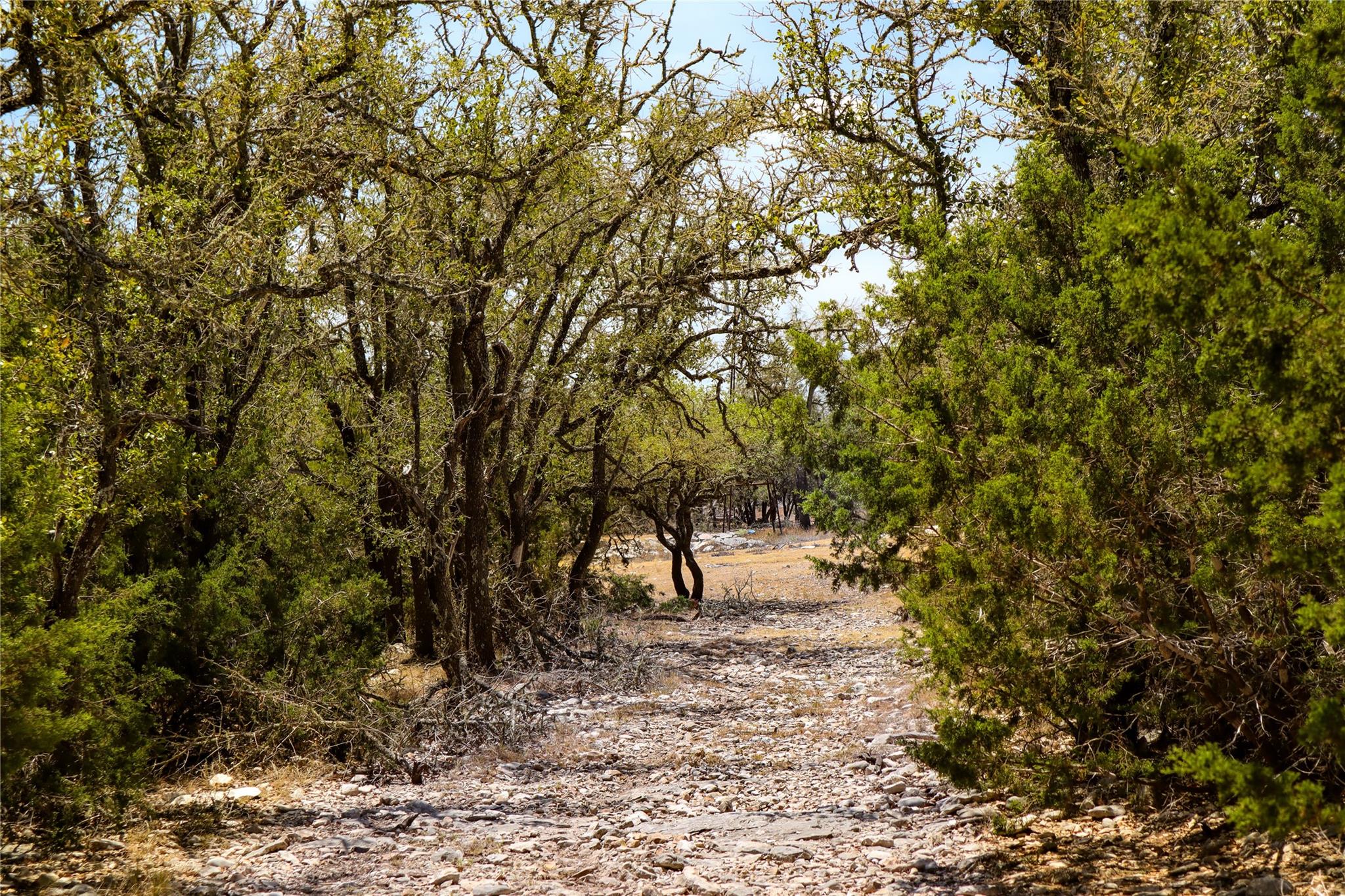 674ACRES Us-83 Highway Mountain Home TX 78058