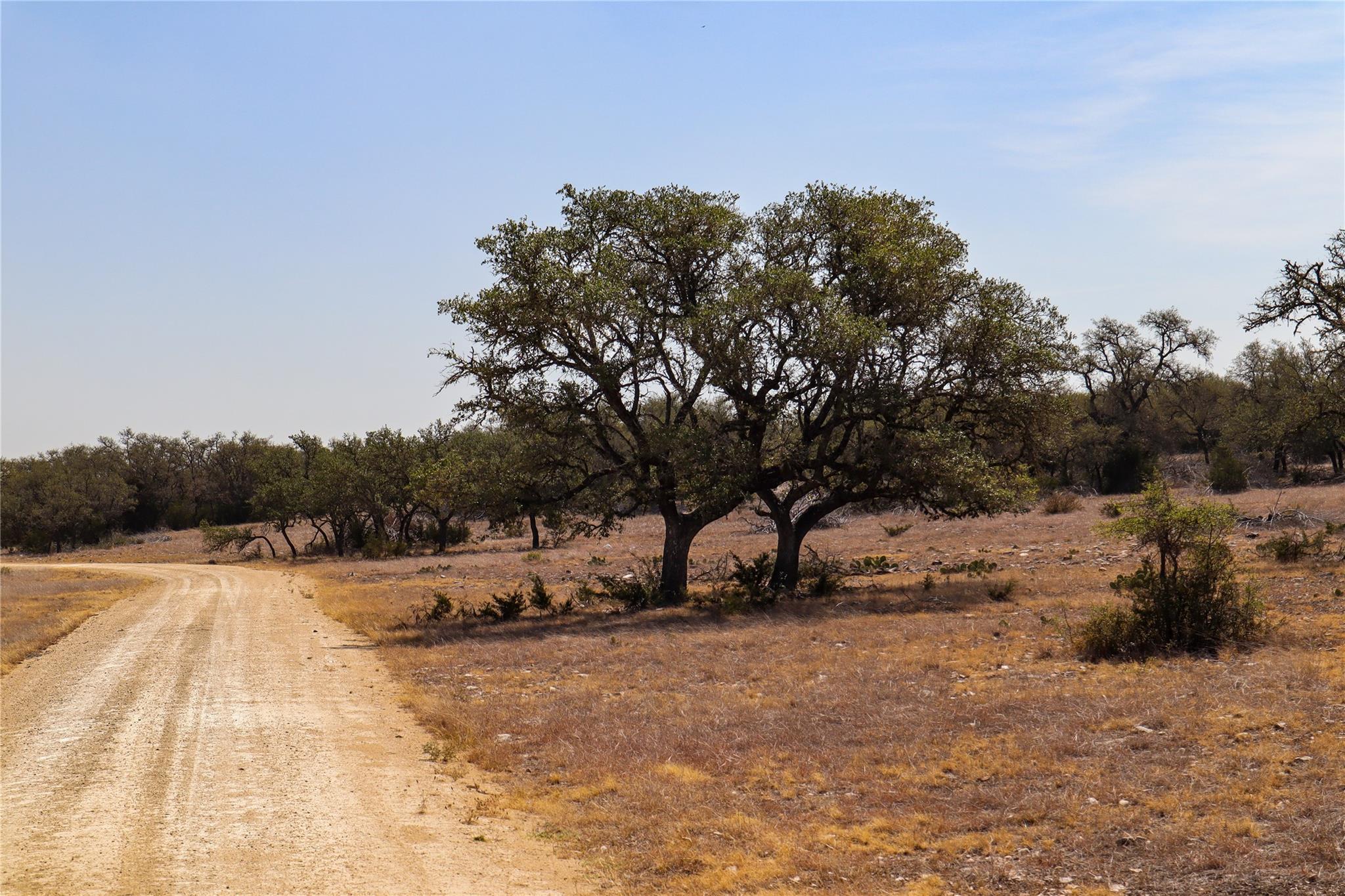 674ACRES Us-83 Highway Mountain Home TX 78058