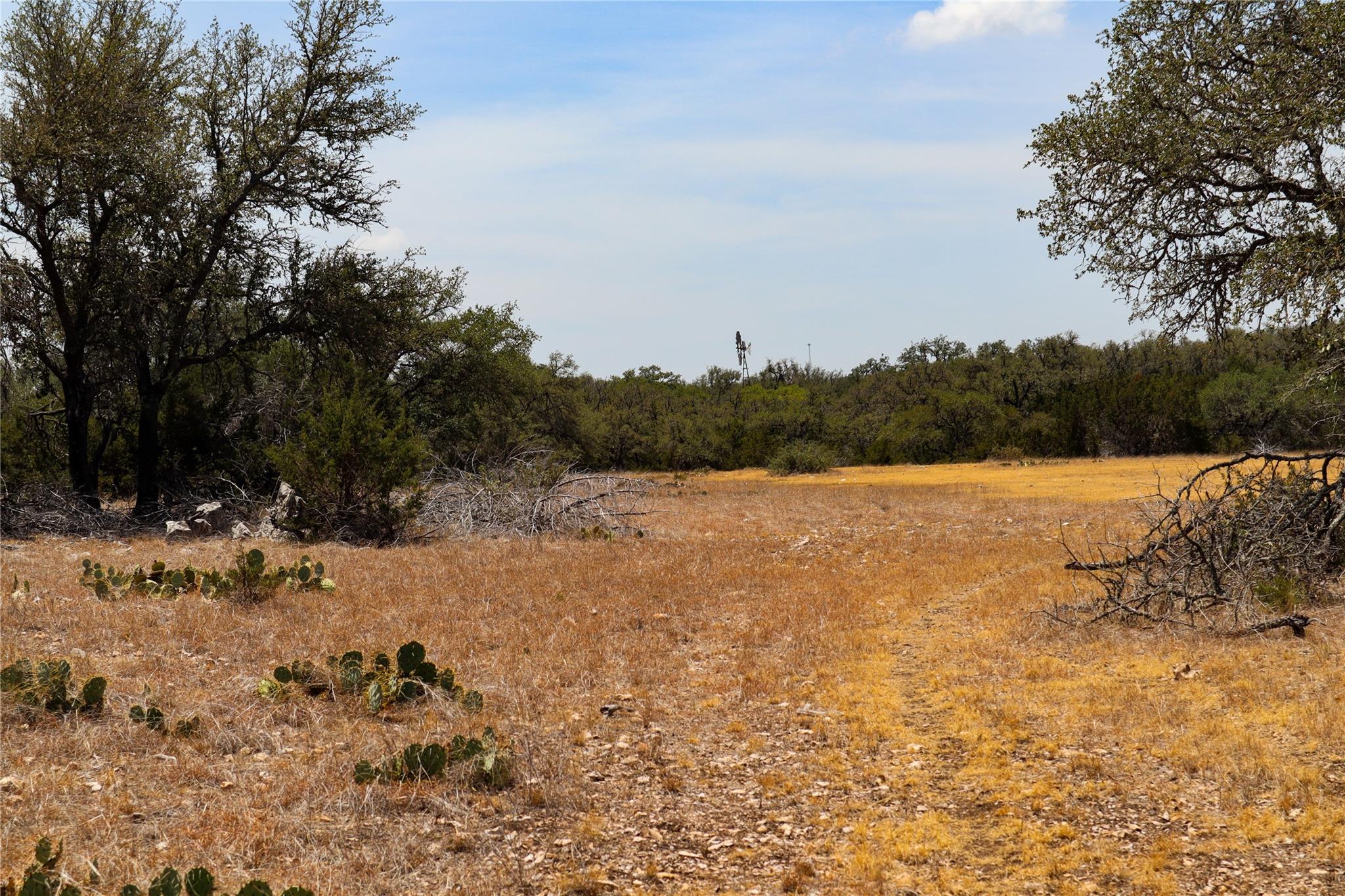 674ACRES Us-83 Highway Mountain Home TX 78058