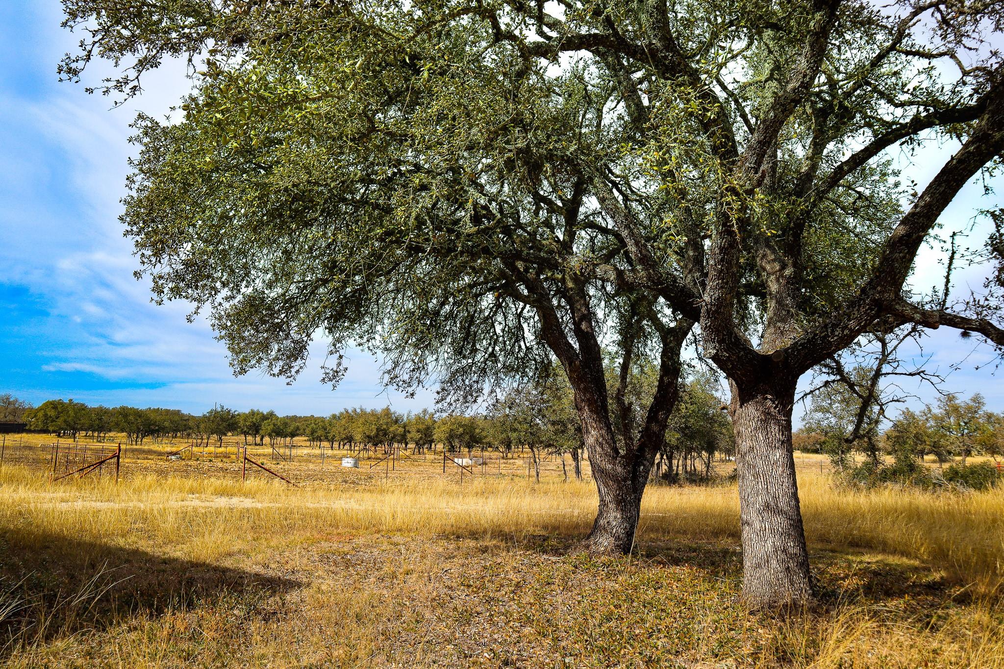 674ACRES Us-83 Highway Mountain Home TX 78058