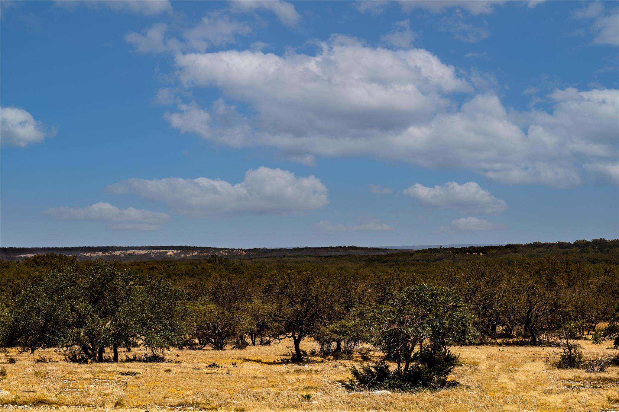 674ACRES Us-83 Highway Mountain Home TX 78058