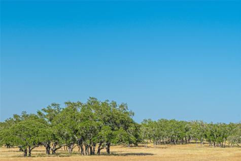 674ACRES Us-83 Highway Mountain Home TX 78058