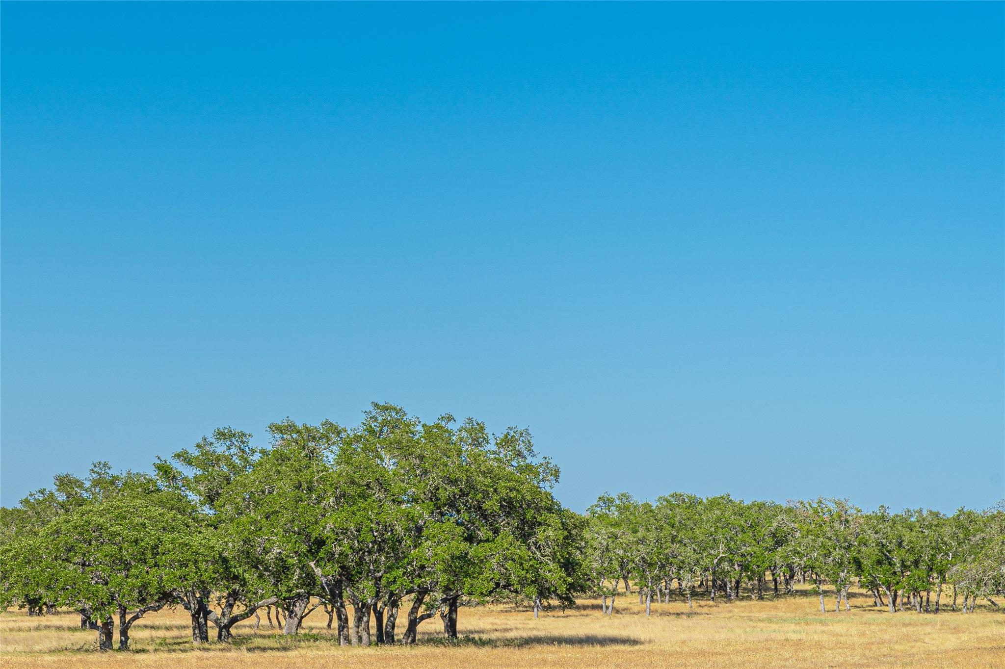 674ACRES Us-83 Highway Mountain Home TX 78058