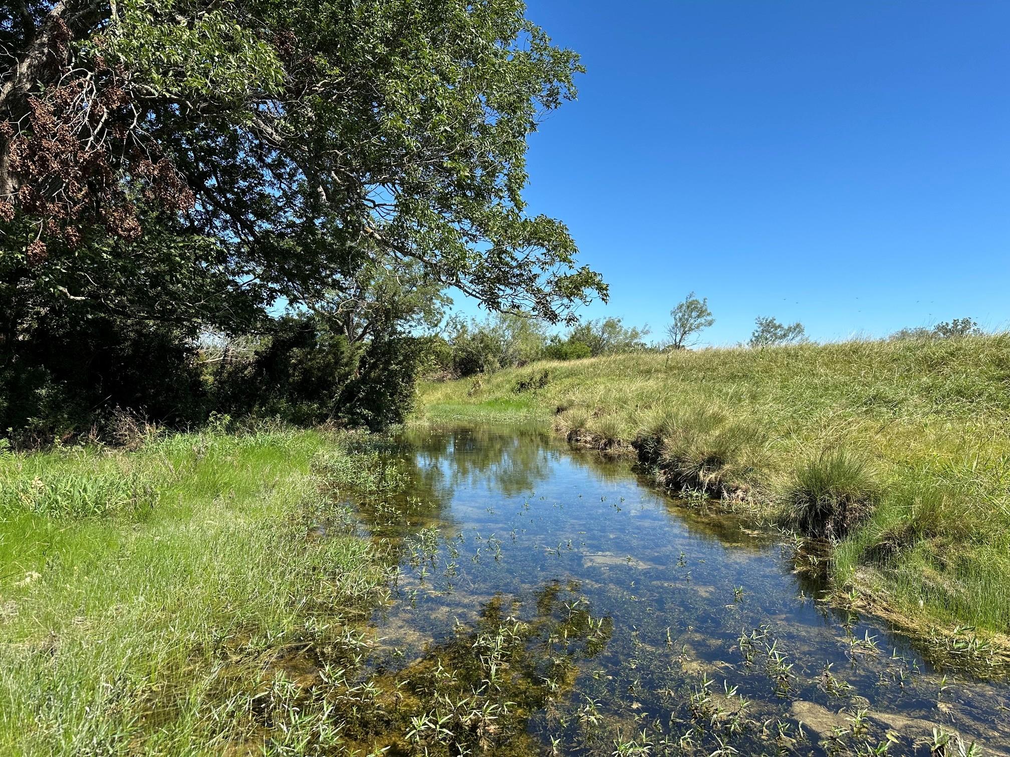 23 Acres County Road 330 Bertram TX 78605