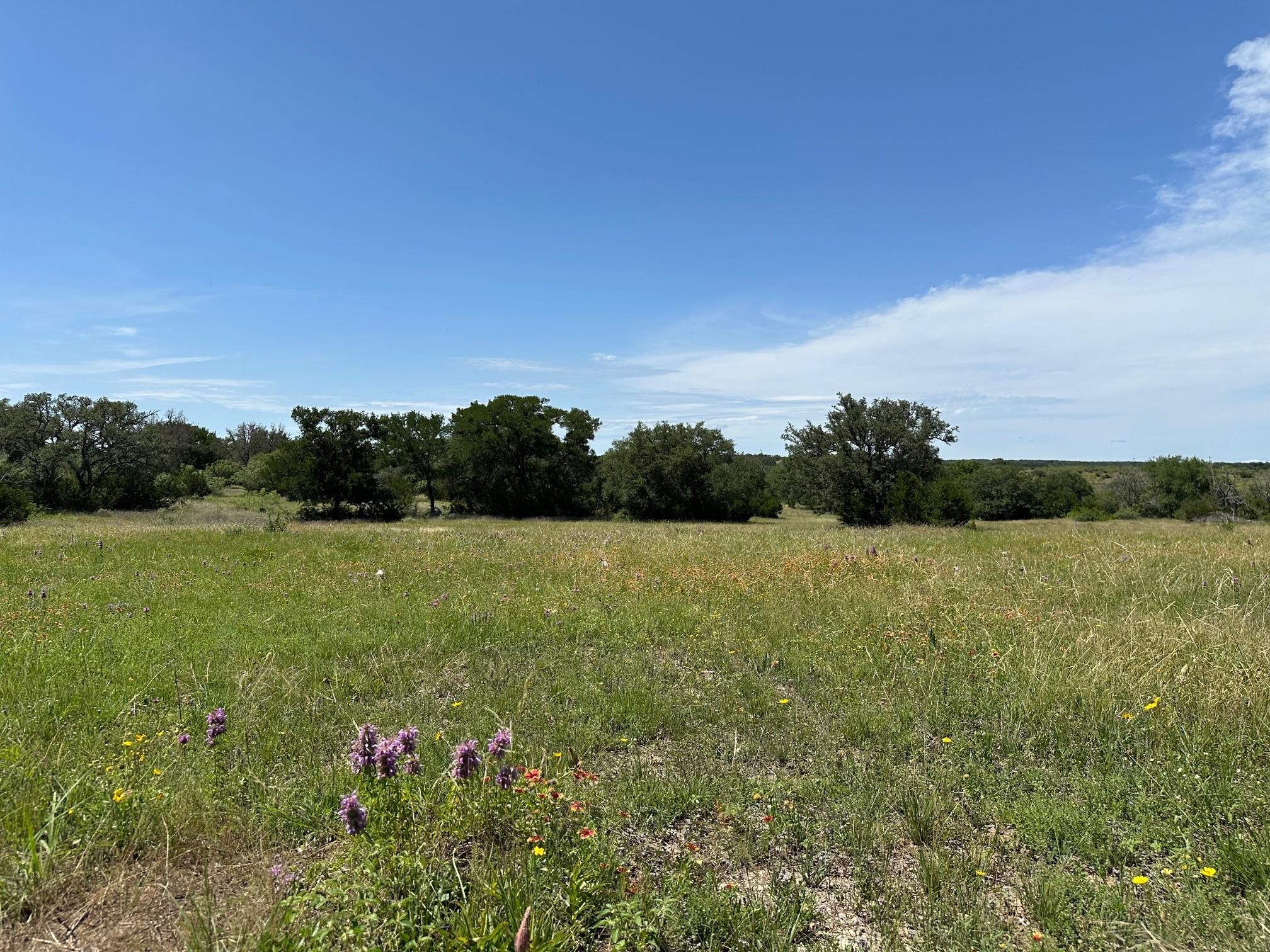 23 Acres County Road 330 Bertram TX 78605