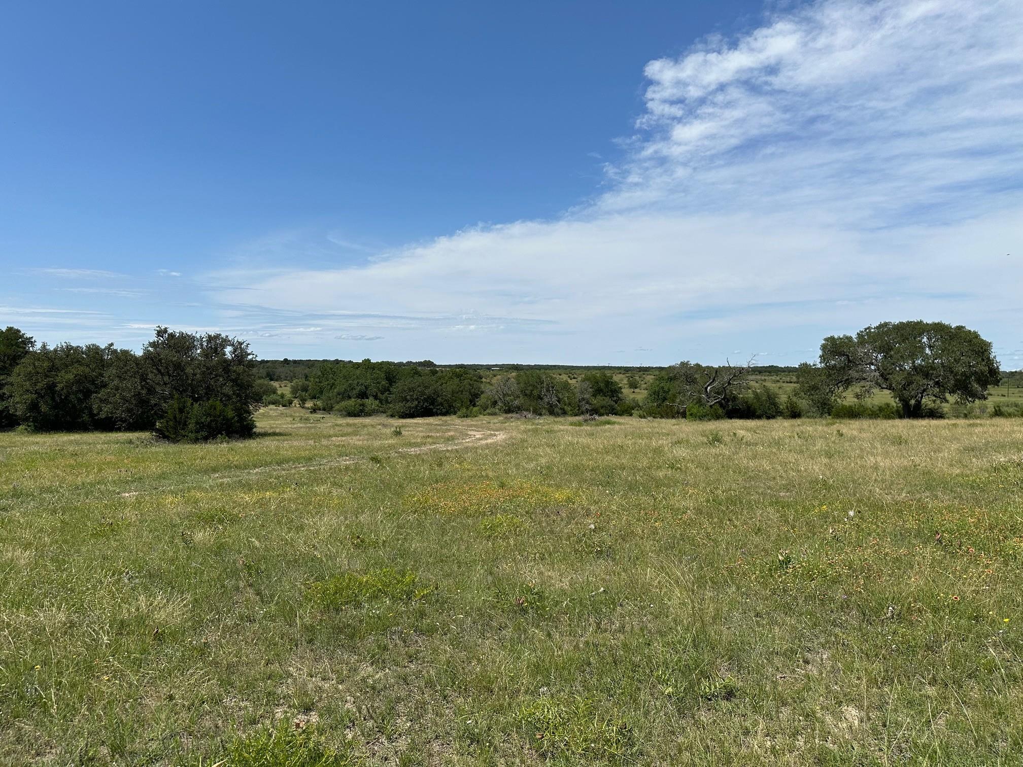 23 Acres County Road 330 Bertram TX 78605