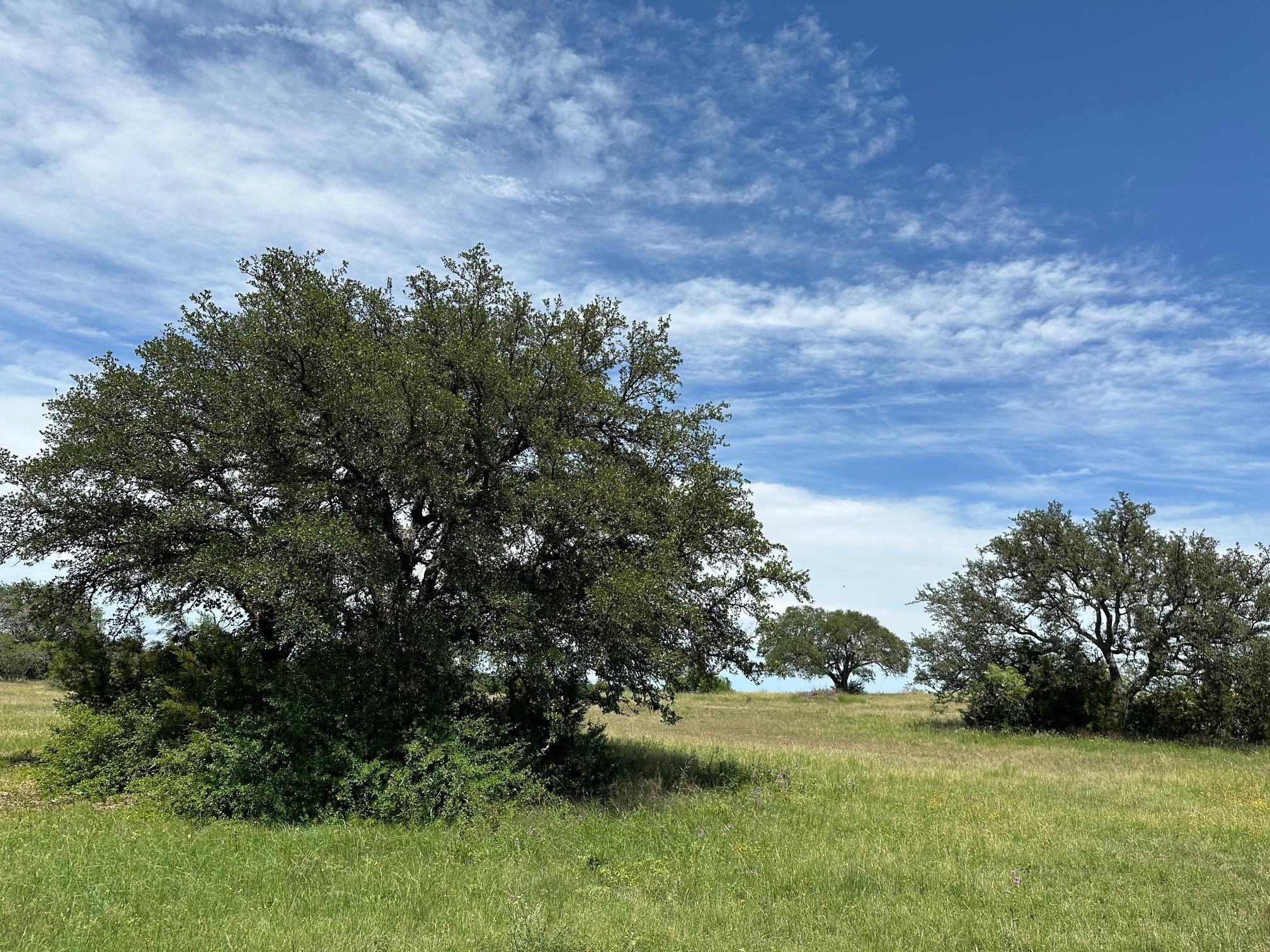 23 Acres County Road 330 Bertram TX 78605