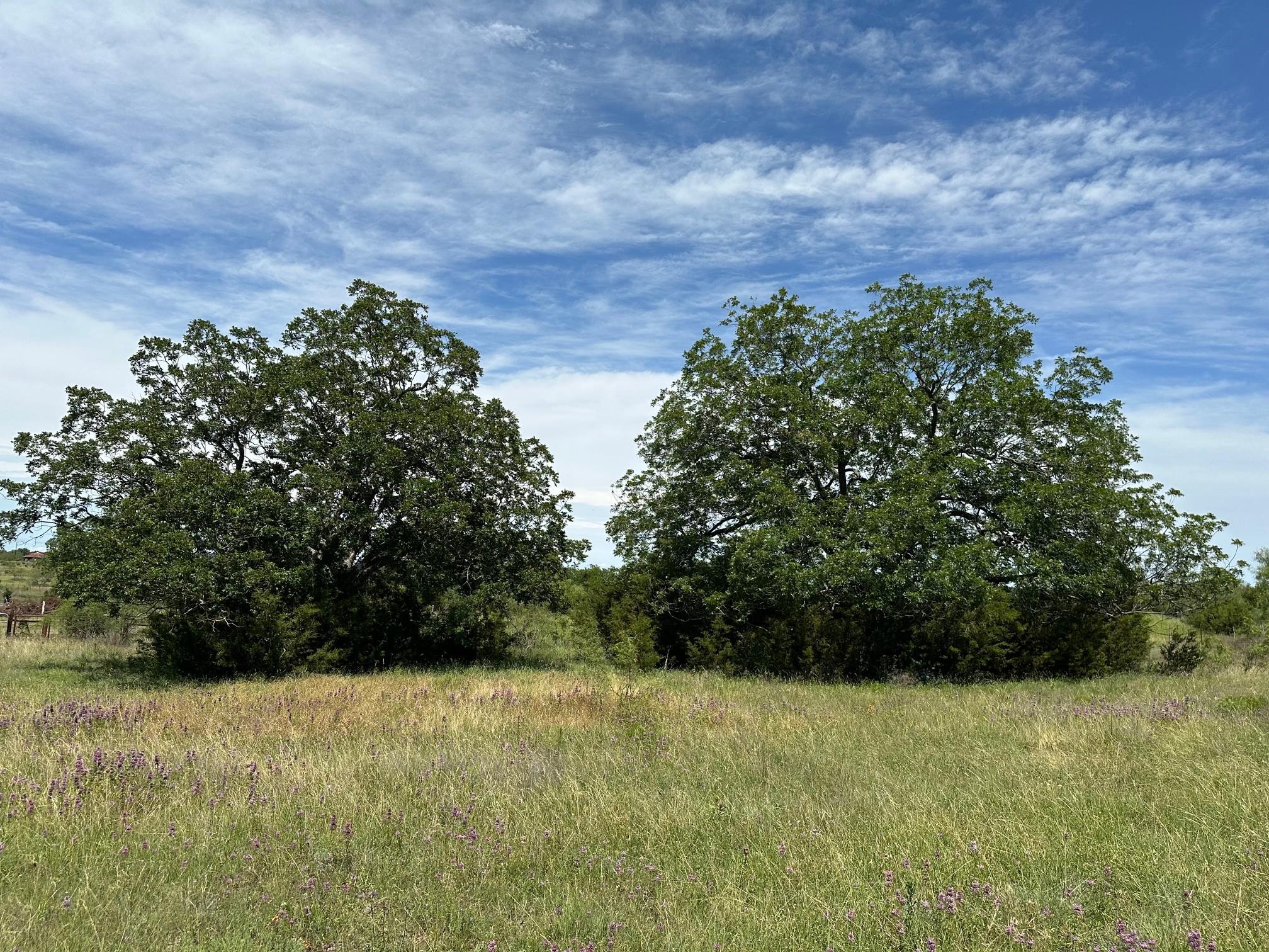 23 Acres County Road 330 Bertram TX 78605