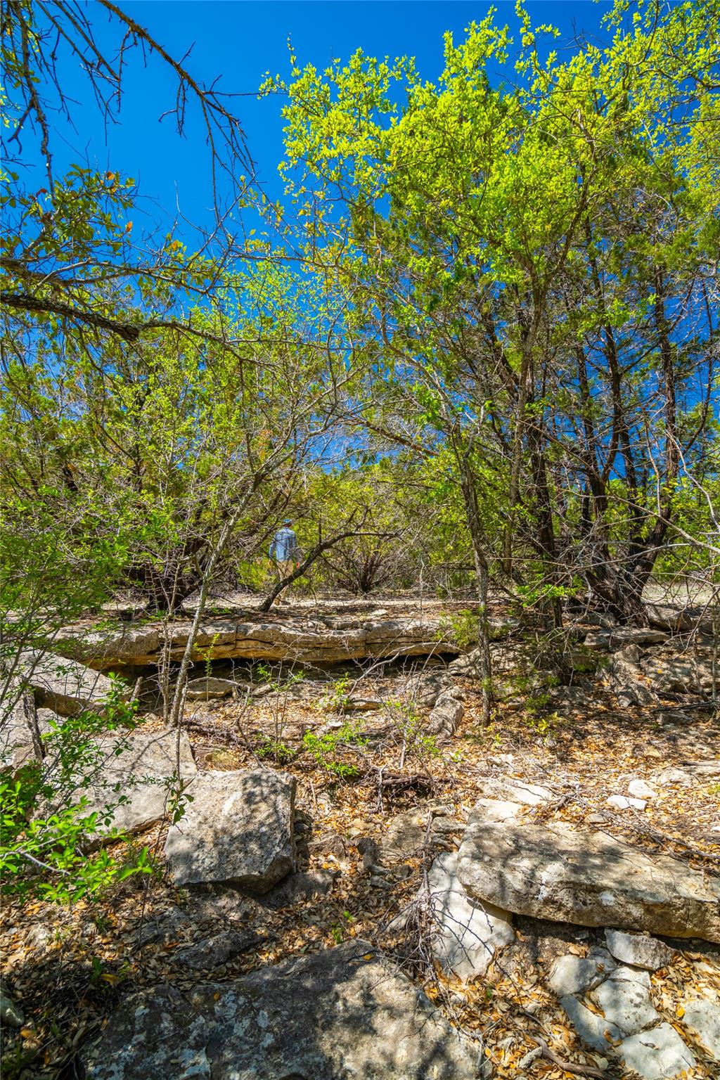 0 County Road 208 Watson TX 76550