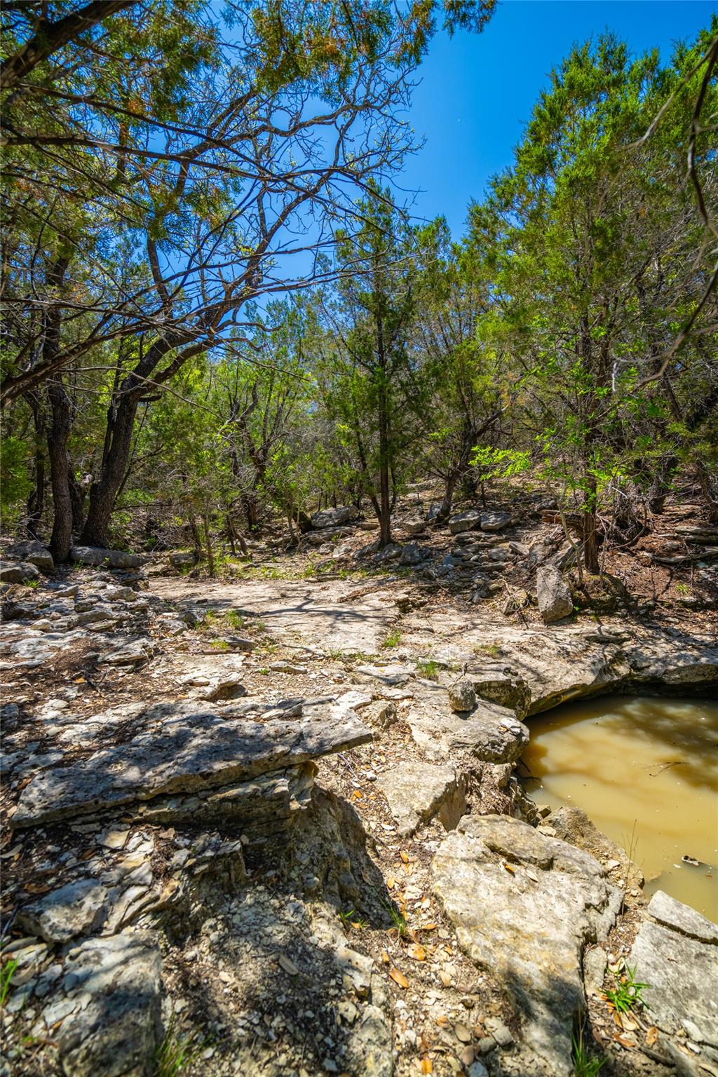 0 County Road 208 Watson TX 76550